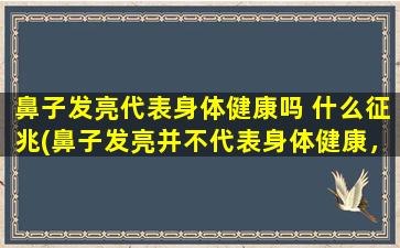 鼻子发亮代表身体健康吗 什么征兆(鼻子发亮并不代表身体健康，可能存在健康问题！初步判断是因风寒所致，您了解*了吗？)